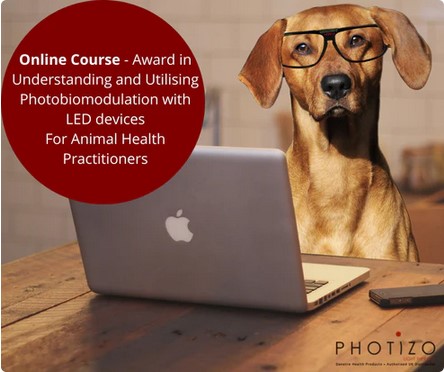 Award in Understanding and Utilising Photobiomodulation with LED devices for Animal Practitioners