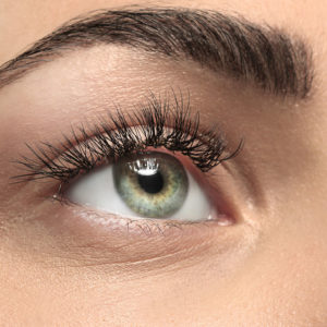 Lash & Brow Tinting & Shaping Award - Think Tree Hub : Think Tree Hub